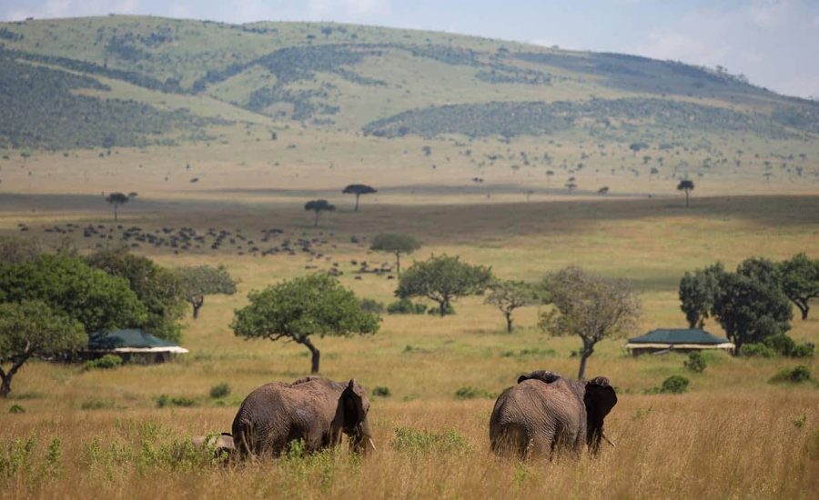 Amboseli National Park